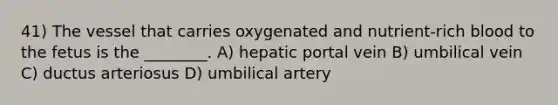 41) The vessel that carries oxygenated and nutrient-rich blood to the fetus is the ________. A) hepatic portal vein B) umbilical vein C) ductus arteriosus D) umbilical artery