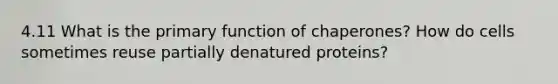 4.11 What is the primary function of chaperones? How do cells sometimes reuse partially denatured proteins?