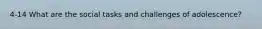 4-14 What are the social tasks and challenges of adolescence?