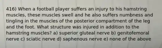 416) When a football player suffers an injury to his hamstring muscles, these muscles swell and he also suffers numbness and tingling in the muscles of the posterior compartment of the leg and the foot. What structure was injured in addition to the hamstring muscles? a) superior gluteal nerve b) genitofemoral nerve c) sciatic nerve d) saphenous nerve e) none of the above