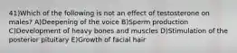 41)Which of the following is not an effect of testosterone on males? A)Deepening of the voice B)Sperm production C)Development of heavy bones and muscles D)Stimulation of the posterior pituitary E)Growth of facial hair