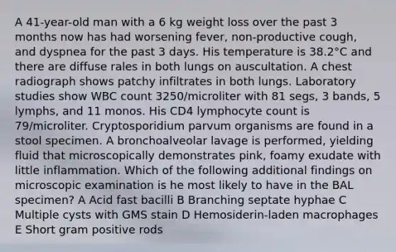 A 41-year-old man with a 6 kg weight loss over the past 3 months now has had worsening fever, non-productive cough, and dyspnea for the past 3 days. His temperature is 38.2°C and there are diffuse rales in both lungs on auscultation. A chest radiograph shows patchy infiltrates in both lungs. Laboratory studies show WBC count 3250/microliter with 81 segs, 3 bands, 5 lymphs, and 11 monos. His CD4 lymphocyte count is 79/microliter. Cryptosporidium parvum organisms are found in a stool specimen. A bronchoalveolar lavage is performed, yielding fluid that microscopically demonstrates pink, foamy exudate with little inflammation. Which of the following additional findings on microscopic examination is he most likely to have in the BAL specimen? A Acid fast bacilli B Branching septate hyphae C Multiple cysts with GMS stain D Hemosiderin-laden macrophages E Short gram positive rods