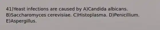 41)Yeast infections are caused by A)Candida albicans. B)Saccharomyces cerevisiae. C)Histoplasma. D)Penicillium. E)Aspergillus.