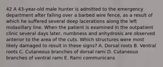 42 A 43-year-old male hunter is admitted to the emergency department after falling over a barbed wire fence, as a result of which he suffered several deep lacerations along the left midaxillary line. When the patient is examined in the outpatient clinic several days later, numbness and anhydrosis are observed anterior to the area of the cuts. Which structures were most likely damaged to result in these signs? A. Dorsal roots B. Ventral roots C. Cutaneous branches of dorsal rami D. Cutaneous branches of ventral rami E. Rami communicans