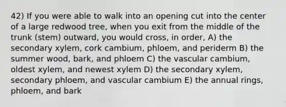 42) If you were able to walk into an opening cut into the center of a large redwood tree, when you exit from the middle of the trunk (stem) outward, you would cross, in order, A) the secondary xylem, cork cambium, phloem, and periderm B) the summer wood, bark, and phloem C) the vascular cambium, oldest xylem, and newest xylem D) the secondary xylem, secondary phloem, and vascular cambium E) the annual rings, phloem, and bark