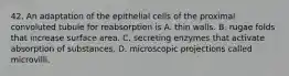 42. An adaptation of the epithelial cells of the proximal convoluted tubule for reabsorption is A. thin walls. B. rugae folds that increase surface area. C. secreting enzymes that activate absorption of substances. D. microscopic projections called microvilli.