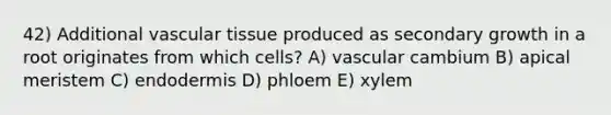 42) Additional <a href='https://www.questionai.com/knowledge/k1HVFq17mo-vascular-tissue' class='anchor-knowledge'>vascular tissue</a> produced as secondary growth in a root originates from which cells? A) vascular cambium B) apical meristem C) endodermis D) phloem E) xylem