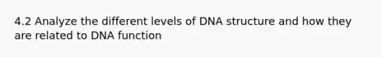 4.2 Analyze the different levels of DNA structure and how they are related to DNA function