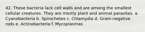 42. These bacteria lack cell walls and are among the smallest cellular creatures. They are mostly plant and animal parasites. a. Cyanobacteria b. Spirochetes c. Chlamydia d. Gram-negative rods e. Actinobacteria f. Mycoplasmas