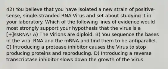 42) You believe that you have isolated a new strain of positive-sense, single-stranded RNA Virus and set about studying it in your laboratory. Which of the following lines of evidence would most strongly support your hypothesis that the virus is a [+]ssRNA? A) The Virions are diploid. B) You sequence the bases in the viral RNA and the mRNA and find them to be antiparallel. C) Introducing a protease inhibitor causes the Virus to stop producing proteins and reproducing. D) Introducing a reverse transcriptase inhibitor slows down the growth of the Virus.