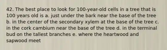 42. The best place to look for 100-year-old cells in a tree that is 100 years old is a. just under the bark near the base of the tree b. in the center of the secondary xylem at the base of the tree c. in the cork cambium near the base of the tree d. in the terminal bud on the tallest branches e. where <a href='https://www.questionai.com/knowledge/kya8ocqc6o-the-heart' class='anchor-knowledge'>the heart</a>wood and sapwood meet