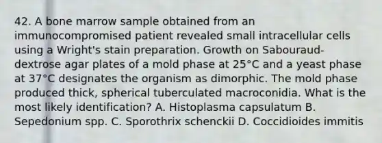 42. A bone marrow sample obtained from an immunocompromised patient revealed small intracellular cells using a Wright's stain preparation. Growth on Sabouraud-dextrose agar plates of a mold phase at 25°C and a yeast phase at 37°C designates the organism as dimorphic. The mold phase produced thick, spherical tuberculated macroconidia. What is the most likely identification? A. Histoplasma capsulatum B. Sepedonium spp. C. Sporothrix schenckii D. Coccidioides immitis