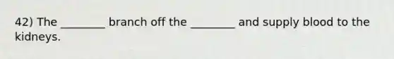 42) The ________ branch off the ________ and supply blood to the kidneys.