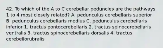 42. To which of the A to C cerebellar peduncles are the pathways 1 to 4 most closely related? A. pedunculus cerebellaris superior B. pedunculus cerebellaris medius C. pedunculus cerebellaris inferior 1. tractus pontocerebellaris 2. tractus spinocerebellaris ventralis 3. tractus spinocerebellaris dorsalis 4. tractus cerebellorubralis