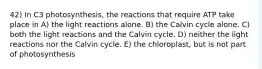 42) In C3 photosynthesis, the reactions that require ATP take place in A) the light reactions alone. B) the Calvin cycle alone. C) both the light reactions and the Calvin cycle. D) neither the light reactions nor the Calvin cycle. E) the chloroplast, but is not part of photosynthesis