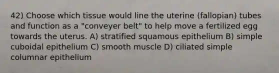 42) Choose which tissue would line the uterine (fallopian) tubes and function as a "conveyer belt" to help move a fertilized egg towards the uterus. A) stratified squamous epithelium B) simple cuboidal epithelium C) smooth muscle D) ciliated simple columnar epithelium