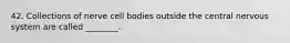 42. Collections of nerve cell bodies outside the central nervous system are called ________.