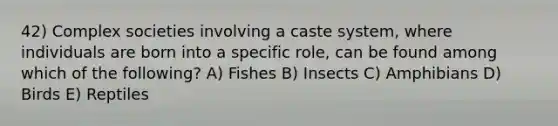 42) Complex societies involving a caste system, where individuals are born into a specific role, can be found among which of the following? A) Fishes B) Insects C) Amphibians D) Birds E) Reptiles