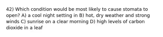 42) Which condition would be most likely to cause stomata to open? A) a cool night setting in B) hot, dry weather and strong winds C) sunrise on a clear morning D) high levels of carbon dioxide in a leaf