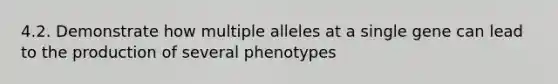 4.2. Demonstrate how multiple alleles at a single gene can lead to the production of several phenotypes