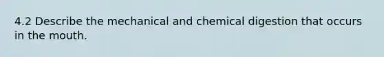 4.2 Describe the mechanical and chemical digestion that occurs in the mouth.