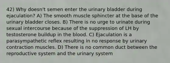 42) Why doesn't semen enter the <a href='https://www.questionai.com/knowledge/kb9SdfFdD9-urinary-bladder' class='anchor-knowledge'>urinary bladder</a> during ejaculation? A) The smooth muscle sphincter at the base of the urinary bladder closes. B) There is no urge to urinate during sexual intercourse because of the suppression of LH by testosterone buildup in <a href='https://www.questionai.com/knowledge/k7oXMfj7lk-the-blood' class='anchor-knowledge'>the blood</a>. C) Ejaculation is a parasympathetic reflex resulting in no response by urinary contraction muscles. D) There is no common duct between the reproductive system and the urinary system