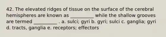 42. The elevated ridges of tissue on the surface of the cerebral hemispheres are known as __________ while the shallow grooves are termed __________ . a. sulci; gyri b. gyri; sulci c. ganglia; gyri d. tracts, ganglia e. receptors; effectors