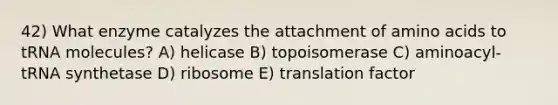 42) What enzyme catalyzes the attachment of amino acids to tRNA molecules? A) helicase B) topoisomerase C) aminoacyl-tRNA synthetase D) ribosome E) translation factor