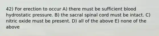 42) For erection to occur A) there must be sufficient blood hydrostatic pressure. B) the sacral spinal cord must be intact. C) nitric oxide must be present. D) all of the above E) none of the above