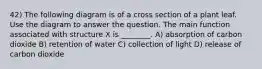 42) The following diagram is of a cross section of a plant leaf. Use the diagram to answer the question. The main function associated with structure X is ________. A) absorption of carbon dioxide B) retention of water C) collection of light D) release of carbon dioxide