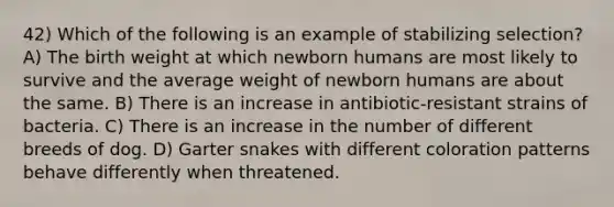 42) Which of the following is an example of stabilizing selection? A) The birth weight at which newborn humans are most likely to survive and the average weight of newborn humans are about the same. B) There is an increase in antibiotic-resistant strains of bacteria. C) There is an increase in the number of different breeds of dog. D) Garter snakes with different coloration patterns behave differently when threatened.