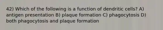 42) Which of the following is a function of dendritic cells? A) antigen presentation B) plaque formation C) phagocytosis D) both phagocytosis and plaque formation