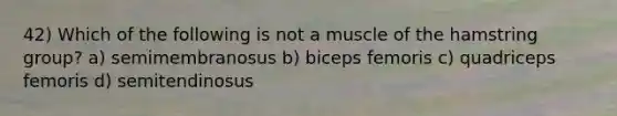 42) Which of the following is not a muscle of the hamstring group? a) semimembranosus b) biceps femoris c) quadriceps femoris d) semitendinosus