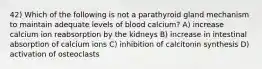 42) Which of the following is not a parathyroid gland mechanism to maintain adequate levels of blood calcium? A) increase calcium ion reabsorption by the kidneys B) increase in intestinal absorption of calcium ions C) inhibition of calcitonin synthesis D) activation of osteoclasts