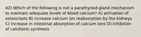 42) Which of the following is not a parathyroid gland mechanism to maintain adequate levels of blood calcium? A) activation of osteoclasts B) increase calcium ion reabsorption by the kidneys C) increase in intestinal absorption of calcium ions D) inhibition of calcitonin synthesis