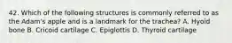 42. Which of the following structures is commonly referred to as the Adam's apple and is a landmark for the trachea? A. Hyoid bone B. Cricoid cartilage C. Epiglottis D. Thyroid cartilage