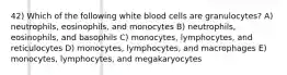 42) Which of the following white blood cells are granulocytes? A) neutrophils, eosinophils, and monocytes B) neutrophils, eosinophils, and basophils C) monocytes, lymphocytes, and reticulocytes D) monocytes, lymphocytes, and macrophages E) monocytes, lymphocytes, and megakaryocytes