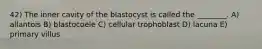 42) The inner cavity of the blastocyst is called the ________. A) allantois B) blastocoele C) cellular trophoblast D) lacuna E) primary villus