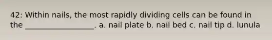 42: Within nails, the most rapidly dividing cells can be found in the __________________. a. nail plate b. nail bed c. nail tip d. lunula