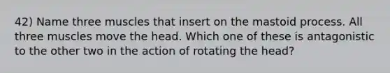 42) Name three muscles that insert on the mastoid process. All three muscles move the head. Which one of these is antagonistic to the other two in the action of rotating the head?