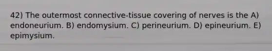 42) The outermost connective-tissue covering of nerves is the A) endoneurium. B) endomysium. C) perineurium. D) epineurium. E) epimysium.