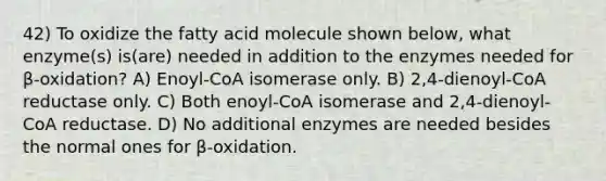 42) To oxidize the fatty acid molecule shown below, what enzyme(s) is(are) needed in addition to the enzymes needed for β-oxidation? A) Enoyl-CoA isomerase only. B) 2,4-dienoyl-CoA reductase only. C) Both enoyl-CoA isomerase and 2,4-dienoyl-CoA reductase. D) No additional enzymes are needed besides the normal ones for β-oxidation.