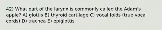 42) What part of the larynx is commonly called the Adam's apple? A) glottis B) thyroid cartilage C) vocal folds (true vocal cords) D) trachea E) epiglottis