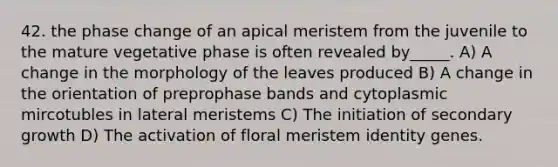 42. the phase change of an apical meristem from the juvenile to the mature vegetative phase is often revealed by_____. A) A change in the morphology of the leaves produced B) A change in the orientation of preprophase bands and cytoplasmic mircotubles in lateral meristems C) The initiation of secondary growth D) The activation of floral meristem identity genes.