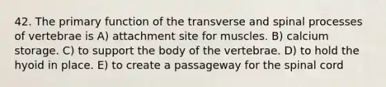 42. The primary function of the transverse and spinal processes of vertebrae is A) attachment site for muscles. B) calcium storage. C) to support the body of the vertebrae. D) to hold the hyoid in place. E) to create a passageway for <a href='https://www.questionai.com/knowledge/kkAfzcJHuZ-the-spinal-cord' class='anchor-knowledge'>the spinal cord</a>