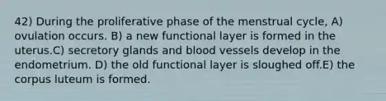 42) During the proliferative phase of the menstrual cycle, A) ovulation occurs. B) a new functional layer is formed in the uterus.C) secretory glands and blood vessels develop in the endometrium. D) the old functional layer is sloughed off.E) the corpus luteum is formed.