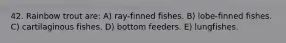 42. Rainbow trout are: A) ray-finned fishes. B) lobe-finned fishes. C) cartilaginous fishes. D) bottom feeders. E) lungfishes.