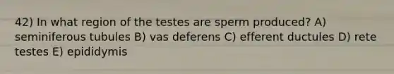 42) In what region of the testes are sperm produced? A) seminiferous tubules B) vas deferens C) efferent ductules D) rete testes E) epididymis