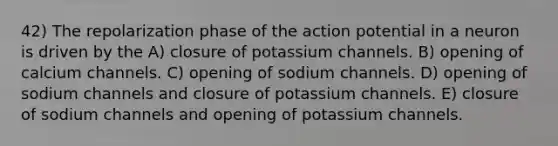 42) The repolarization phase of the action potential in a neuron is driven by the A) closure of potassium channels. B) opening of calcium channels. C) opening of sodium channels. D) opening of sodium channels and closure of potassium channels. E) closure of sodium channels and opening of potassium channels.