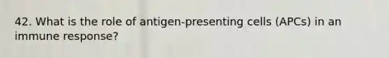 42. What is the role of antigen-presenting cells (APCs) in an immune response?